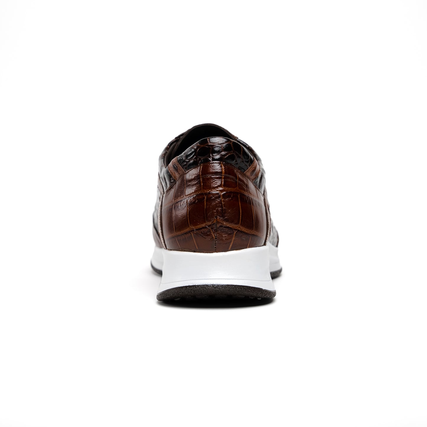 maseratti vidal brown 5