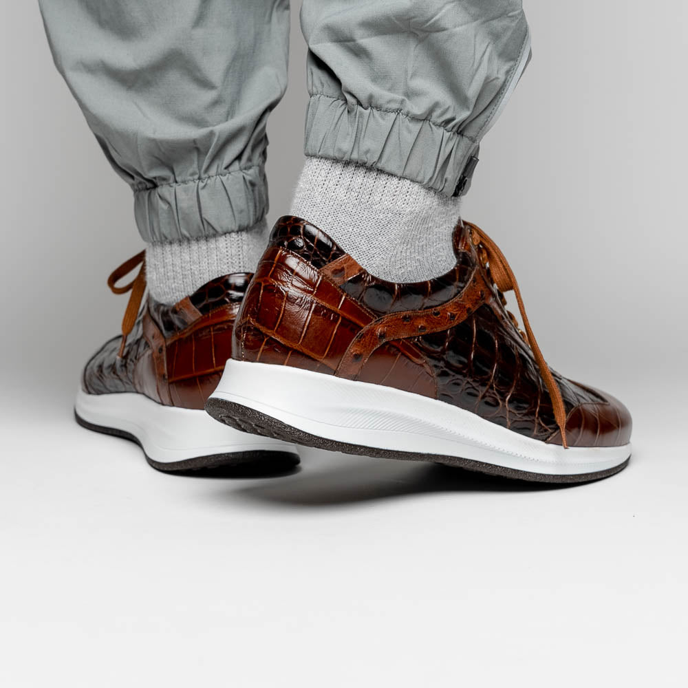 maseratti vidal brown 11