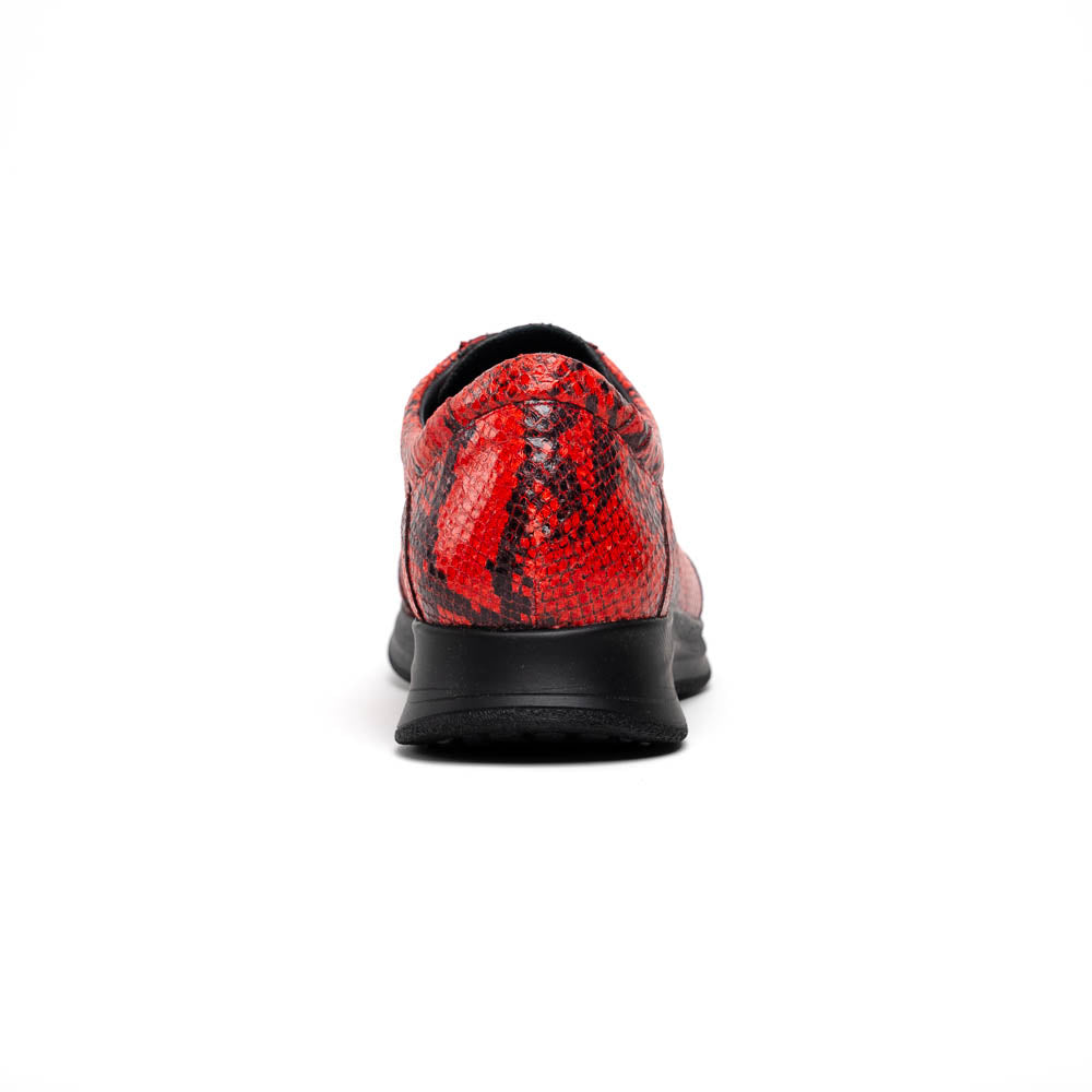 maseratti snake sneaker red 5